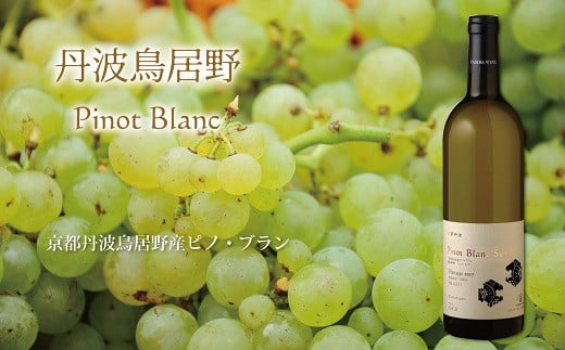 認定ソムリエがお薦めする京丹波の地ワイン・丹波ワインの「京都丹波ピノブラン2017」。