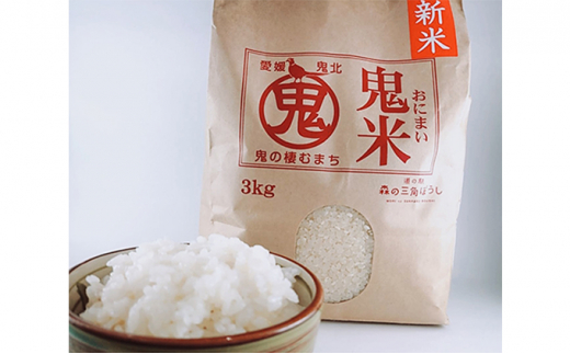 【定期便】令和3年産 鬼北のお米「鬼米（おにまい）」3kg×1袋 6ヶ月連続お届け[№5557-0176]