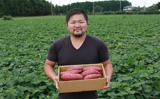 千葉県袖ケ浦市のふるさと納税 奥野農園 さつまいも（紅はるか）５kg