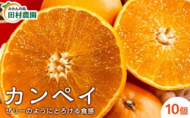 美生柑 みしょうかん 愛南産の河内晩柑 約7 5キロ入り 22個 18個 愛媛県愛南町 ふるさと納税 ふるさとチョイス