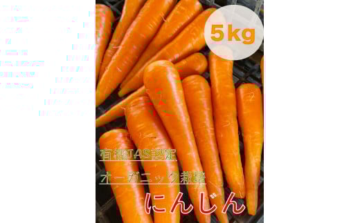 【先行予約】にんじん 5kg 旬の安心野菜【人参 ニンジン 無農薬 有機 栽培 野菜 サラダ 料理 オーガニック 数量 限定 人気 栄養 茨城県 鹿嶋市】 (KAX-15) 282193 - 茨城県鹿嶋市