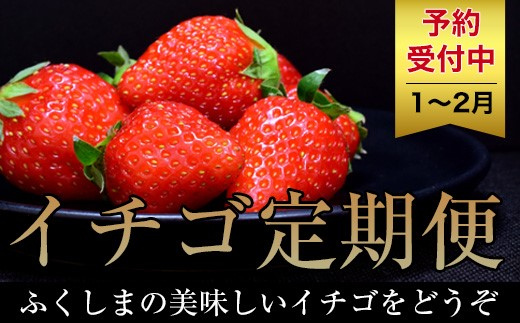 No.1434いちご定期便福島の朝摘み とちおとめ4P【全2回】【2025年発送　先行予約】 282105 - 福島県福島市