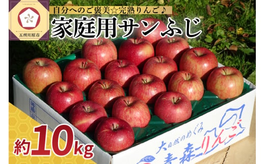 [ふるさとチョイス限定][選べる配送時期] 12月 1月 りんご [家庭用] サンふじ 10kg 青森