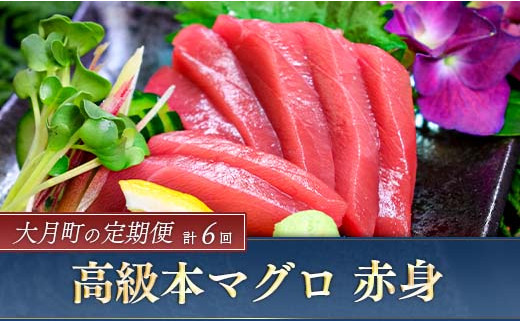 定期便 赤身好きのための 高級本マグロ 計6回お届け 高知県大月町 ふるさと納税 ふるさとチョイス