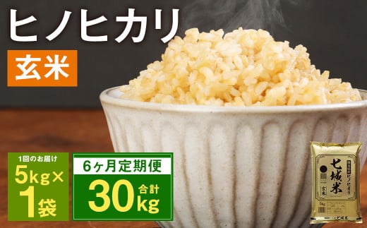 【6ヶ月定期便】熊本県菊池産 ヒノヒカリ 5kg×6回 計30kg 玄米 米 お米 令和2年産