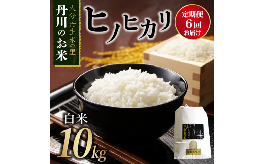 T 定期便 丹生米の里 丹川のお米 ヒノヒカリ白米 10kg 6回お届け定期便 大分県大分市 ふるさと納税 ふるさとチョイス