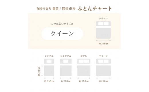 羽毛布団【ポーランド産マザーグース95%】羽毛掛け布団 220×210cm