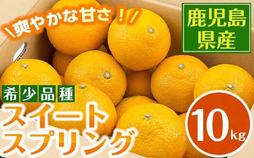 i565 ＜2024年12月下旬～2025年2月下旬の間に発送予定＞＜数量・期間限定＞スイートスプリング(約10kg) 鹿児島県産 みかん スイートスプリング 柑橘 果物 くだもの フルーツ 旬 ミカン オレンジ 数量限定 期間限定  【江崎果樹園】 590406 - 鹿児島県出水市