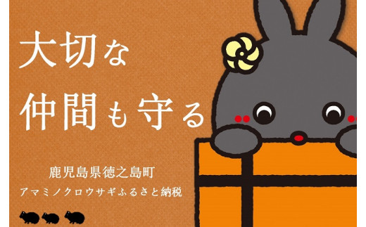 鹿児島県徳之島町は、アマミノクロウサギの交通事故を本気でゼロにしたいと考えています！