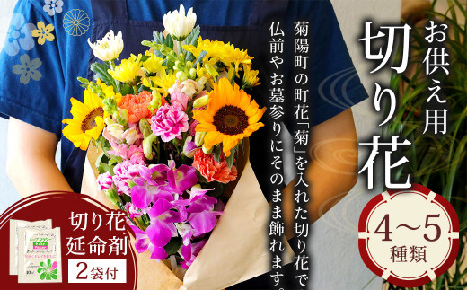 町花の菊をあしらった お供え用 切り花 菊 お花 278006 - 熊本県菊陽町