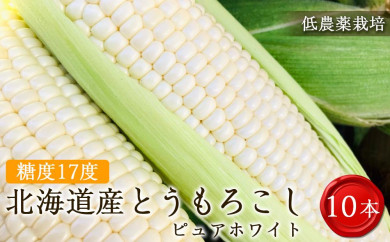 【先行予約】糖度17度！北海道産　低農薬栽培とうもろこし（ピュアホワイト）10本