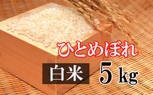 【2024年11月発送開始】 令和6年産 新米 ひとめぼれ 精米 5kg ／  白米 産地直送 岩手県産 【かきのうえ】 688105 - 岩手県八幡平市