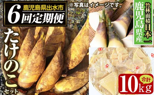 最新作の 鹿児島県産 生たけのこ 4Kg chouja.fishing