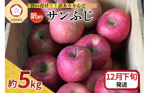 【2024年12月下旬発送】 【訳あり】 りんご サンふじ 5kg 青森 1064625 - 青森県五所川原市