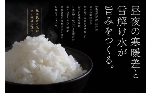 山形県産【はえぬき】白米２０ｋｇになります食品