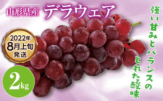 おすすめ ぶどうのふるさと納税を探す ふるさとチョイス