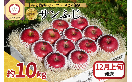 【2023年12月上旬発送】 【贈答用】 りんご サンふじ 10kg 青森