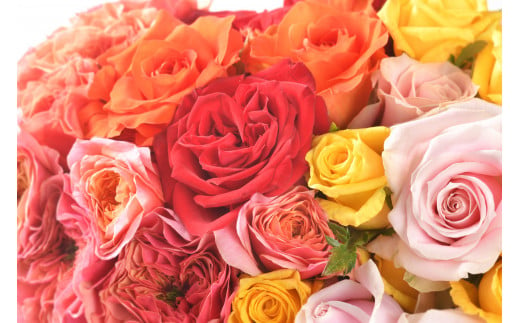 8種類から薔薇の花束1種類単色10本セット