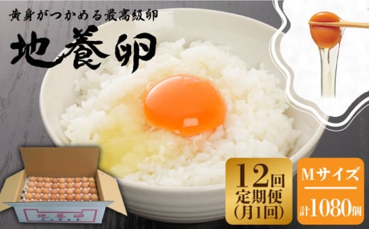 最高級 卵 地養卵 Lサイズ 40個 長崎県産 西海市 たまご 卵 玉子