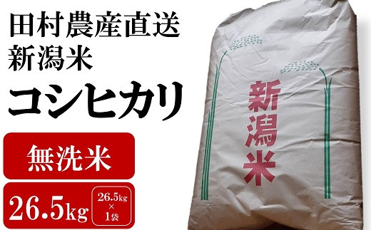 【新米先行予約】コシヒカリ 無洗米 26.5kg 田村農産のお米 令和6年産米[ZG423]