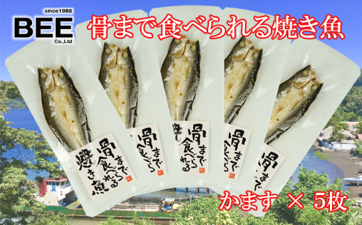 【価格改定予定】干物 骨まで食べられる焼き魚 かます 5袋 惣菜 手軽 レンチン 本場 沼津