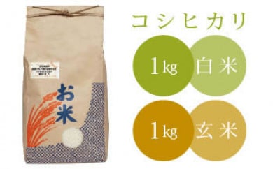 【ネット限定】椿さんのおいしいお米セット 398881 - 千葉県神崎町