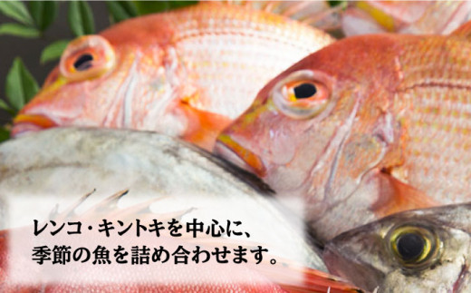 日本唯一「以西底びき網漁」の鮮魚詰合せ 約2.5kg ＜山田水産＞ [LGA001]