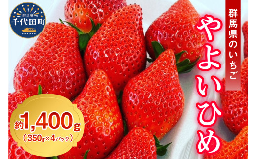 《先行予約》2026年2月発送※ いちご「 やよいひめ 」約350g×4パック 群馬県 千代田町 大粒 完熟収穫 大容量 とれたて 新鮮 送料 無料 数量 限定 甘い 豊かな 香り 贅沢 ご褒美 イチゴ ストロベリー 贈答 贈り物 ギフト プレゼント 家族 で 楽しむ フルーツ