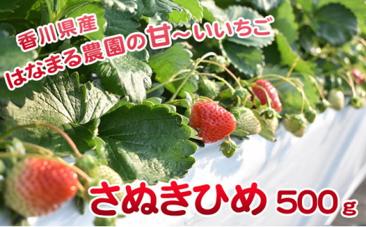 香川県東かがわ市のふるさと納税 お礼の品ランキング【ふるさとチョイス】