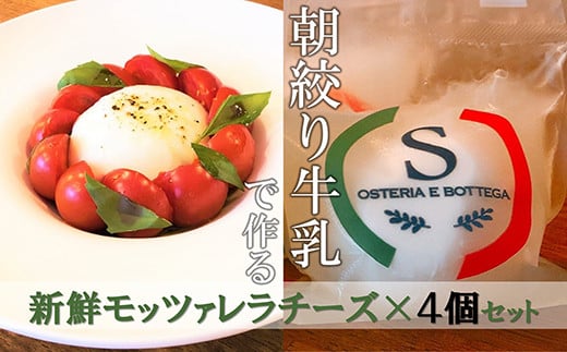 【出来立て新鮮】モッツァレラチーズ100g×4個セット  709692 - 神奈川県茅ヶ崎市