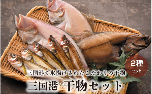 三国港 干物セット オススメ干物2種入り A 0601 福井県坂井市 ふるさと納税 ふるさとチョイス