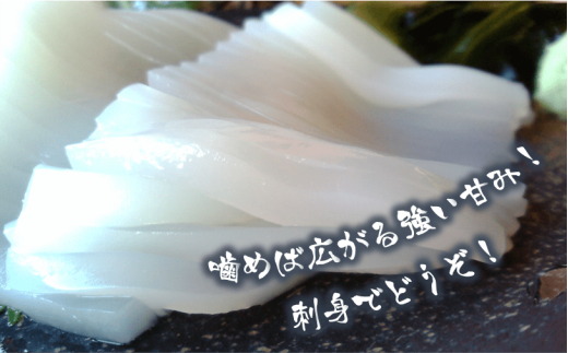 のし付き】朝どれ白いかお刺身巨大サイズセット 130g2枚入り - 島根県 