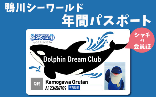 鴨川シーワールド 年間パスポート 小人 小学生 中学生 １名 0024 0002 千葉県鴨川市 ふるさと納税 ふるさとチョイス