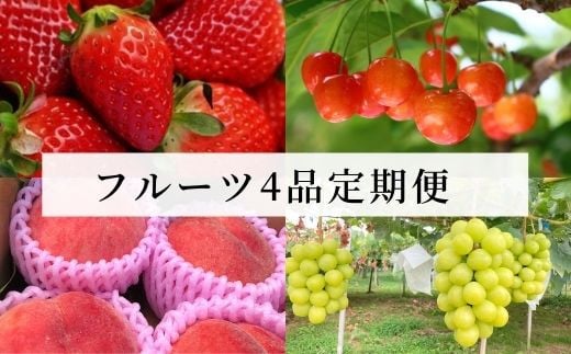 No.1603【先行予約】春のいちごから始まる果物4品 定期便【2024年発送】
