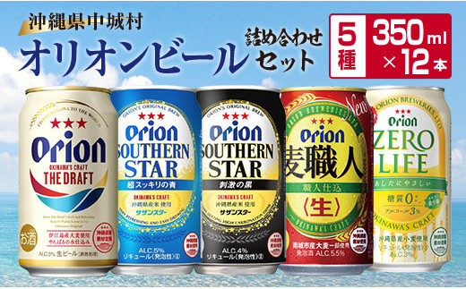 オリオンビール 5種詰め合わせセット 沖縄県中城村 ふるさと納税 ふるさとチョイス