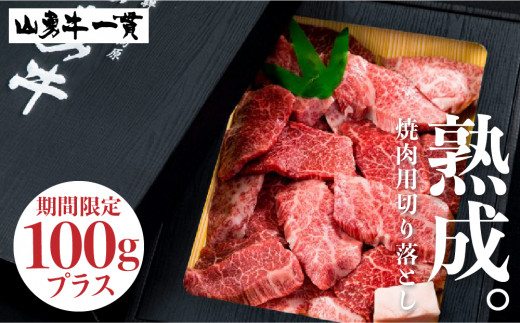 山勇牛 焼肉用 切落し 切り落とし 500g 100g増量 牛肉 和牛 飛騨牛 肉 稀少部位 岐阜県飛騨市 ふるさと納税 ふるさとチョイス