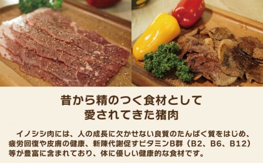 6回定期便】ジビエ 天然イノシシ肉 おまかせ焼肉セット 600g （ロース