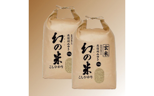 3-5A　【令和3年産】コシヒカリ最上級米「幻の米（玄米）　20kg」