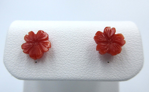 土佐沖血赤珊瑚桜ピアス（20805-10）