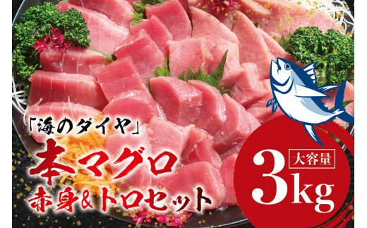 本マグロ（養殖）トロ＆赤身セット 3kg 【2月発送】高級 クロマグロ  中トロ 中とろ まぐろ マグロ 鮪 刺身 赤身 柵 じゃばらまぐろ 本マグロ 本鮪 1059611 - 和歌山県古座川町