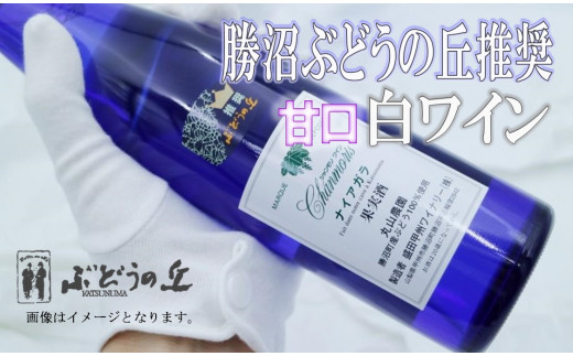 勝沼ぶどうの丘推奨　白ワイン（甘口）１本　B-664