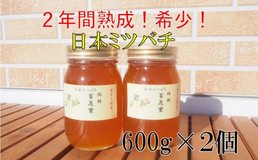 ２年間熟成！希少な日本ミツバチ完熟蜂蜜（600ｇ×２個）セット【10セット限定】