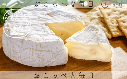 カマンベールチーズ『SAYURI』2個セット 224823 - 北海道興部町