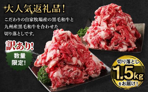 289訳あり！！黒毛和牛バラ切落し2000g(1000g×2) - 肉