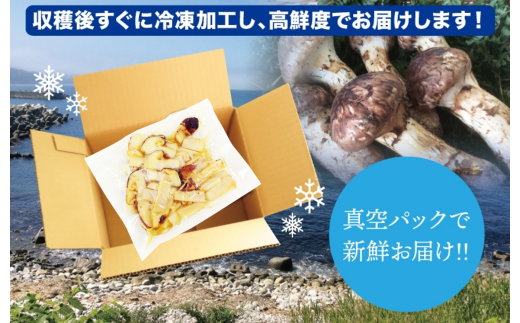 岩手県普代村のふるさと納税 【期間限定】岩手県産 スライス天然松茸 約100ｇ 【冷凍】 国産 真空パック