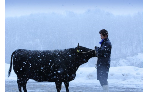 豪雪地帯尾花沢で育てられる牛は、厳しい冬の寒さから身を守るため、自然に上質な脂を身につけていきます。