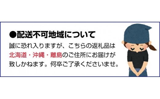 極上！紀州蝦夷鮑×5個 五つ星旅館にも出荷される極上アワビ＜日付指定