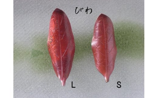 木の葉の箸置き ペアセット びわ FC010099 315418 - 新潟県燕市