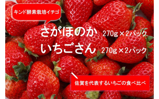AE014 あま～い！！キンド酵素栽培いちご 【さがほのか２７０ｇ×２パック・いちごさん２７０ｇ×２パック】数量限定！！