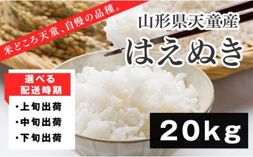 04b1049 はえぬきkg 配送時期選択可 山形県天童市 ふるさと納税 ふるさとチョイス